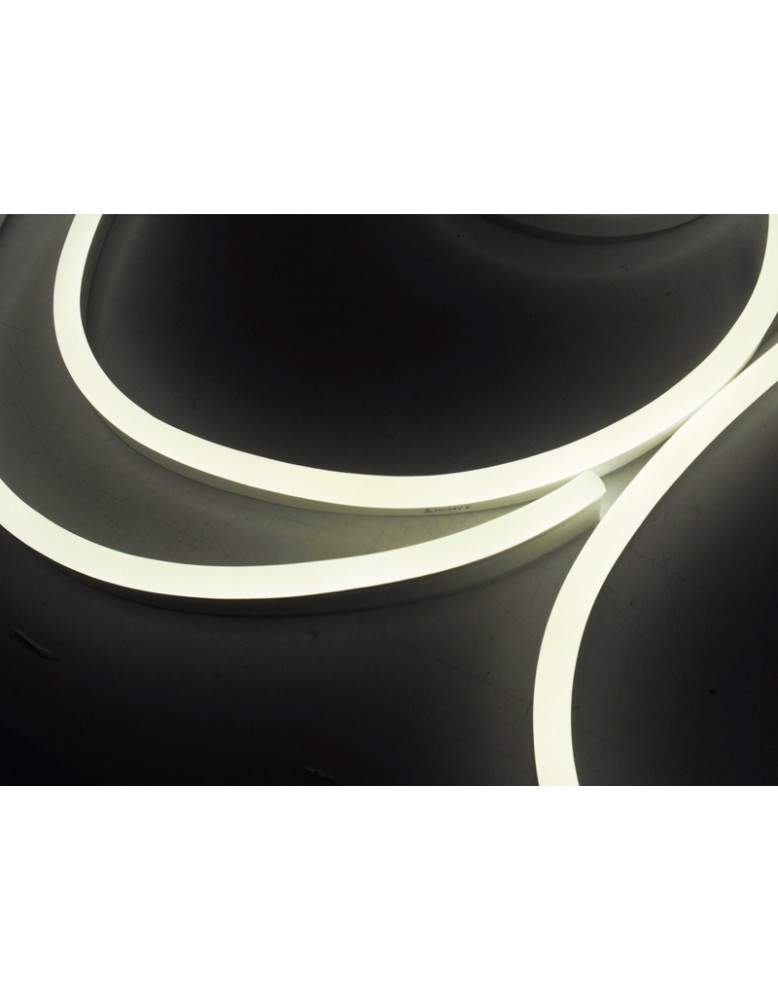 LED NEON C FR F21B 24V 5700K +/ 300K  DC24V...