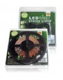 LED TRAKE SET IP65 5m DC12V  4,8W/m ZELENA /SET 3528 655Z